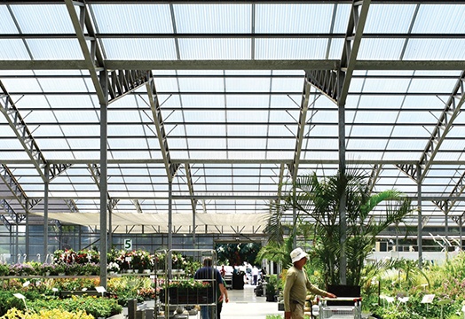 GREENHOUSE & PLANT NURSERY / ISRAEL